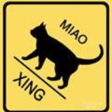 一种相思