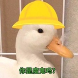 没头脑也不高兴