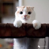 小驴爱生活