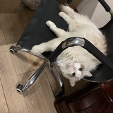 华做梦