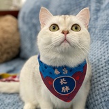 包可爱