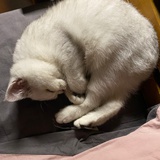 常在我心