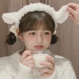 飞鸥不下
