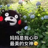 泓瑞在锦城