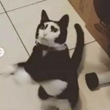 再也不买了