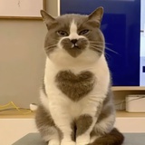 kevin