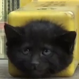 玄慈
