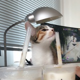 讨厌没趣味