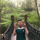 小猪头