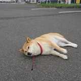 人在十八线