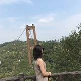 Joy