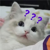 尤利西斯的回望