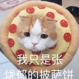 坦坦