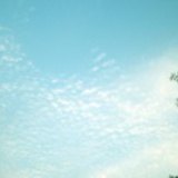 当妳沉默的高调