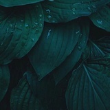 益真