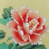 南国飘雪001