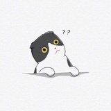瑾橙