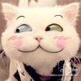 立志要瘦的肉酱