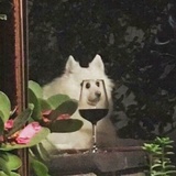 三个我