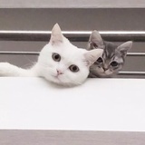 李璐lululu