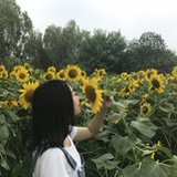 云柒一