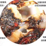 九福娇