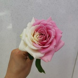 纳米