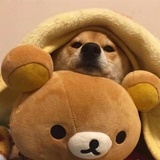 puppy's江湖骗子
