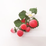 这是一颗🍓