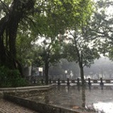 小芭