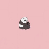 三毛学长