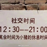 不想上班的狗