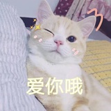 一片青叶子🌿