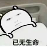 这个领域的专家