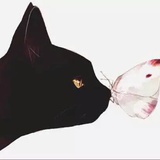 客科
