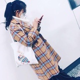 小浣熊