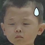 刘南瓜
