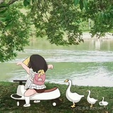 青木不木