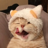 wooyoung