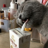 往回走