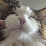 程意