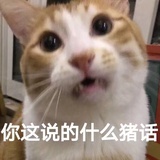 蛋叉叔叔的嘿咻