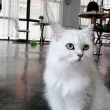 被子里面有根针