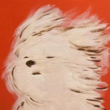 火锅火锅