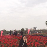 庸常俗子