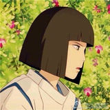 一大朵向日葵