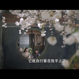 以住消