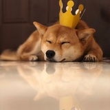 Charles_Lee