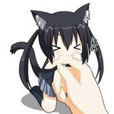 屿。