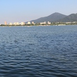 叶叶